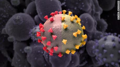 How the next variant of the coronavirus could emerge