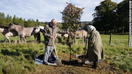 La Reina y el Príncipe Carlos plantaron un árbol en el Balmoral Cricket Pavilion cerca de Crathie, Escocia, para dar inicio a su iniciativa especial de plantación de árboles el otoño pasado. 