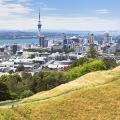 02 spongey cities Auckland RESTRICTED