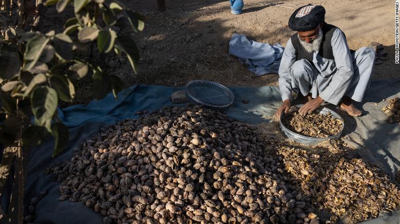 A farmer filters dried poppy pods used to extract seeds for planting a new crop at his farm on November 16, 2021 in Talukan village near Kandahar.