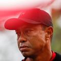 45 tiger woods gallery