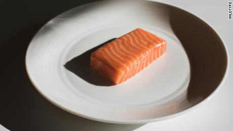 Wildtype's ambition to create an environment "structured"  a product like a salmon fillet is more of a challenge than the "unstructured"  ground products like hamburgers and hot dogs, experts say. 