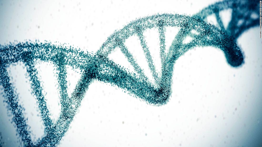 发现了42个以前未知的阿尔茨海默病基因