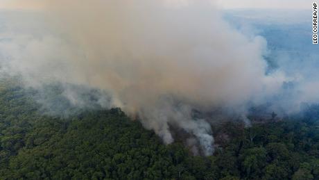 The Amazon rainforest in Brazil has already reached a new deforestation record this year.