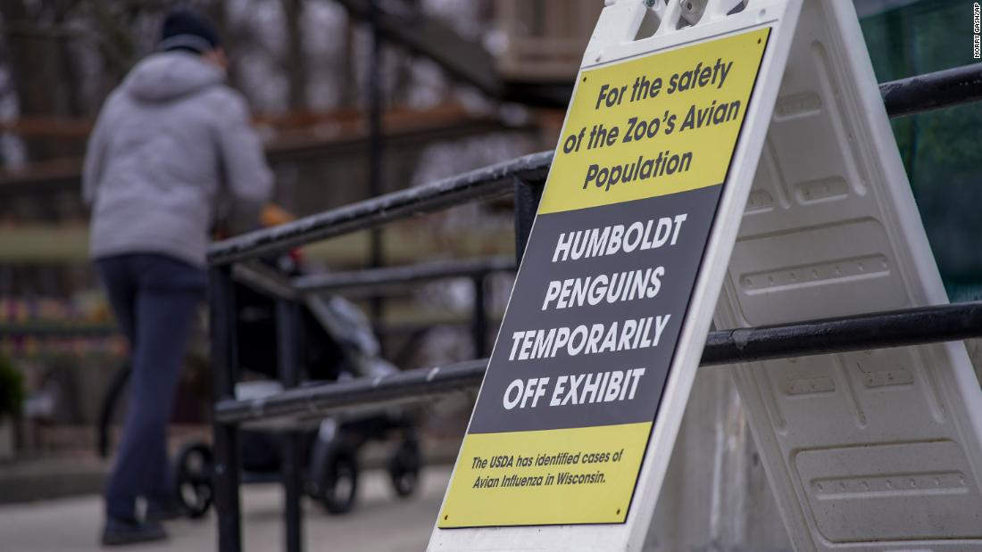 Zoos are moving their birds indoors to protect them against a deadly strain of the avian flu