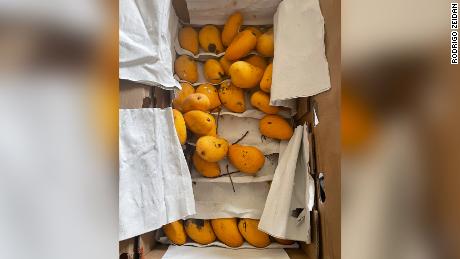 Shanghai residents Rodrigo Zeidan and Melissa Nogueira are finding out that sometimes the minimum order of food items, is more than enough. Like this order of a box of mangoes.