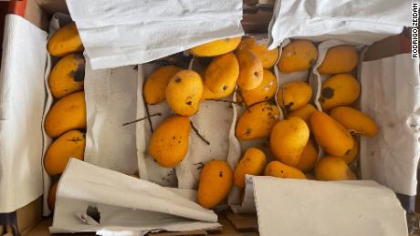 Opinion: We're locked down in Shanghai with 25 pounds of mangoes -- and some very helpful neighbors