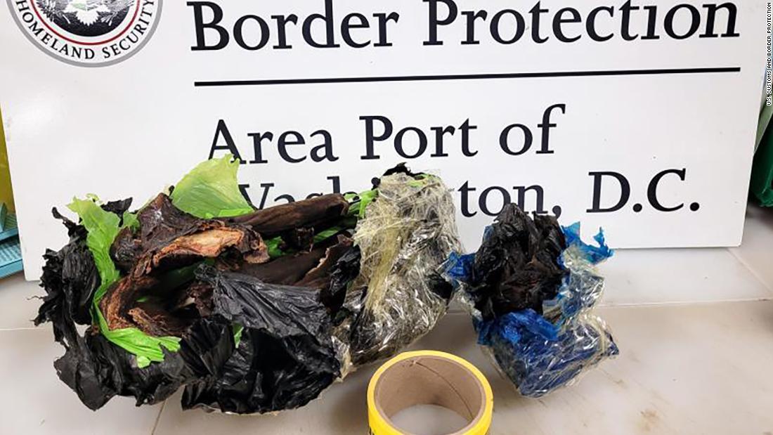 CBP officers discover bat meat in traveler's baggage at Washington Dulles Airport