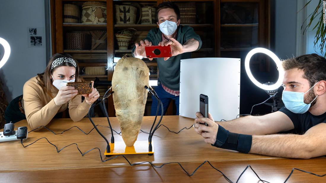 Mummified bird could unlock new ways to experience museum exhibits | CNN