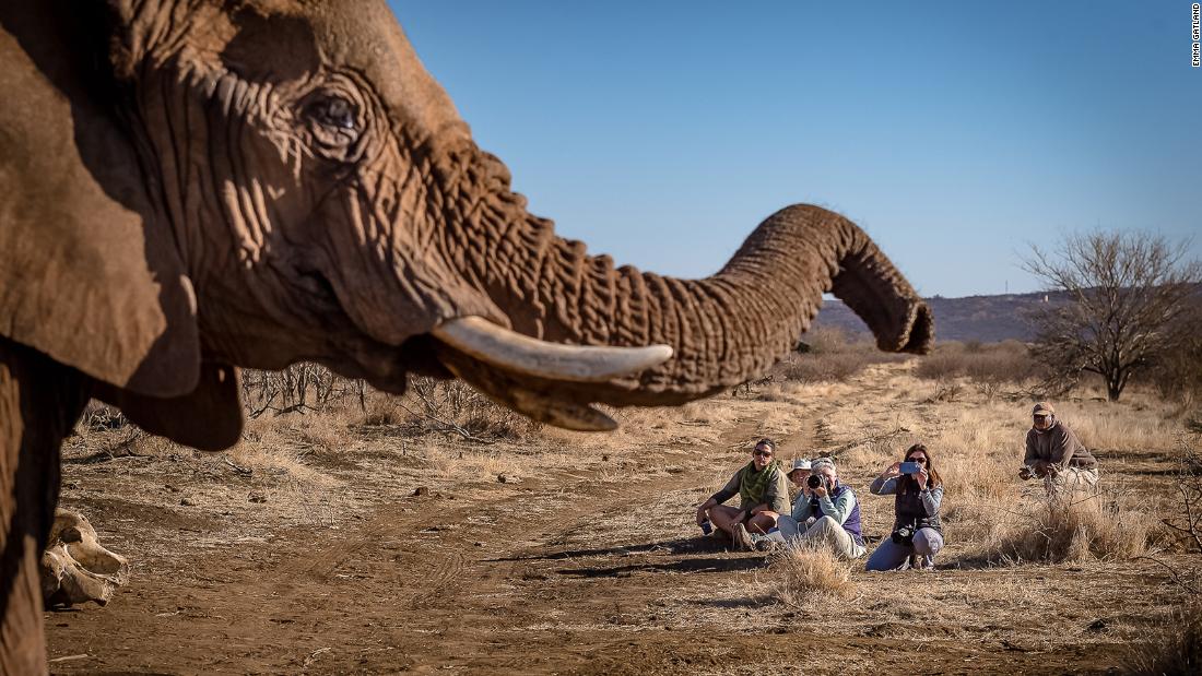 Gatland is a rising star among wildlife photographers in Southern Africa, where she says the vast majority of those in the business are male. She says she hopes her photography will inspire other female photographers to discover the world.