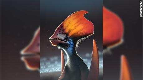 The study says that pterosaurs were covered with colorful feathers
