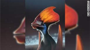 Pterosaurs were covered with colorful feathers, study says