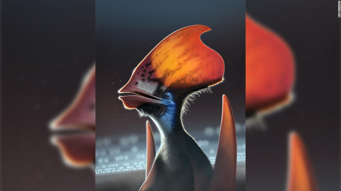 El estudio dice que los pterosaurios estaban cubiertos de plumas de colores