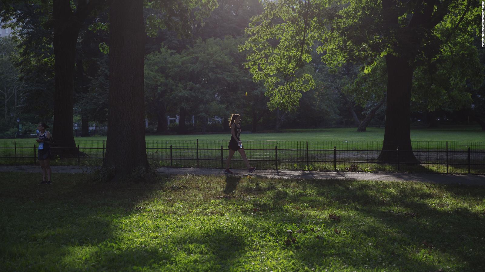 Forest bathing could be the key to feeling better - CNN