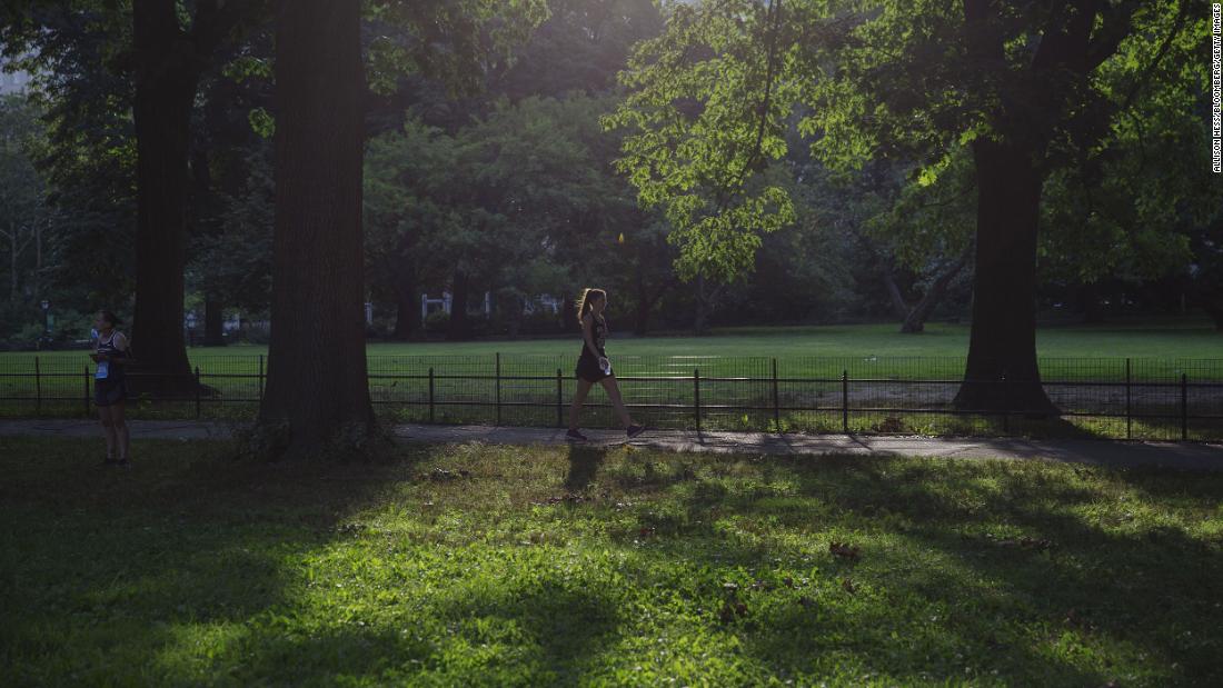 Forest bathing could be the key to feeling better -- and you can even do it at work