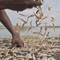 06 As Equals women fishing Zimbabwe