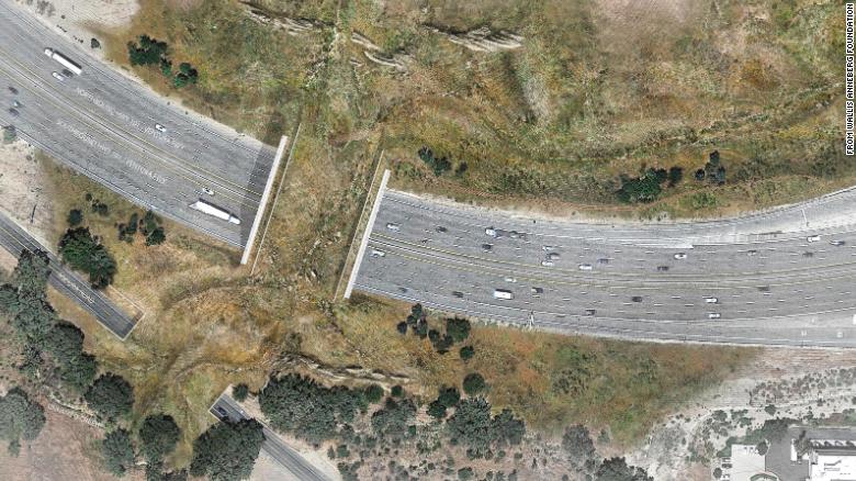 Construction starts on world’s largest wildlife crossing to let animals roam over 10 lanes of L.A. highway