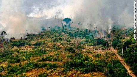 Crucial tropical forests were destroyed last year at the rate of 10 football fields per minute