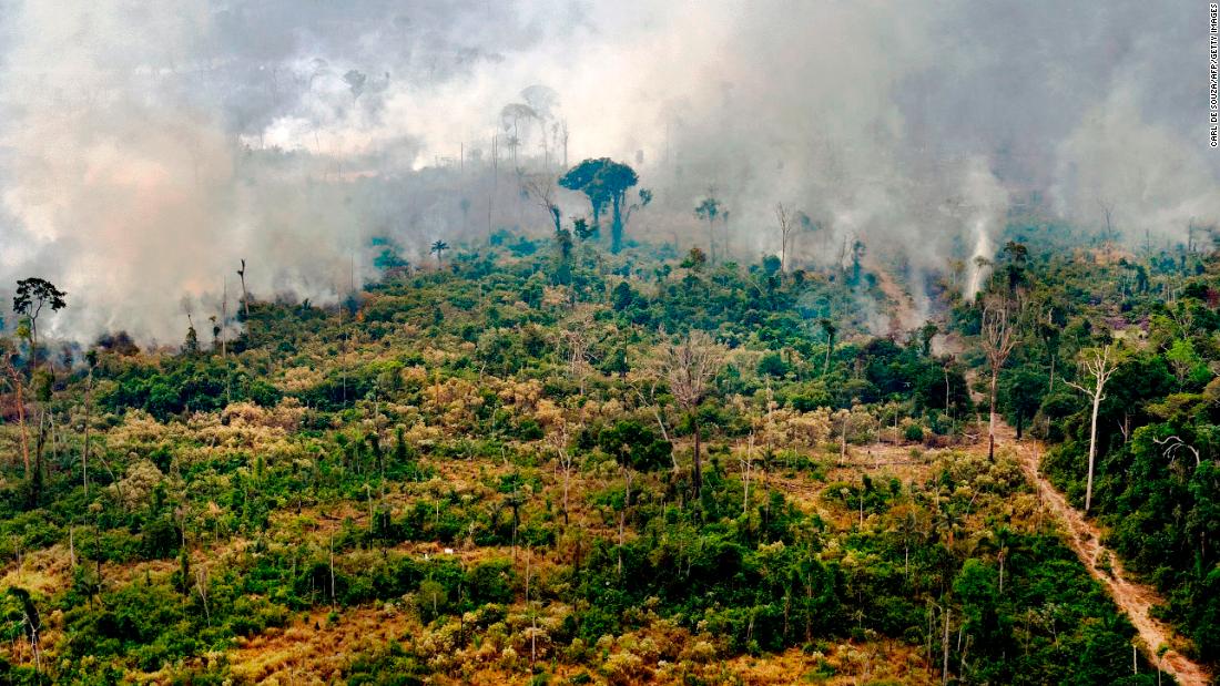 Crucial tropical forests were destroyed at a rate of 10 soccer fields a minute last year