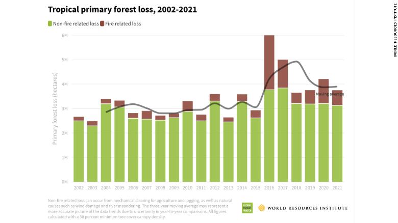 Perda de floresta primária tropical