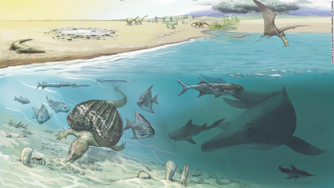 Los fósiles del «pez lagarto» encontrados en los Alpes suizos pertenecen a algunas de las criaturas más grandes que jamás hayan existido.