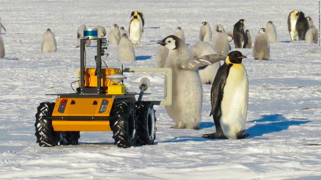 See the tiny robot that’s spying on penguins in Antarctica – CNN Video
