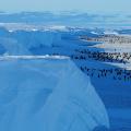 02 emperor penguins antarctica