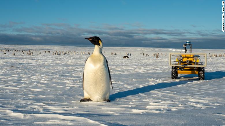 The ECHO rover (right) slowly travels back after surveying the Atka Bay emperor penguin colony in Antarctica.