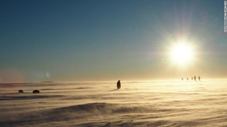 This is what the end of a long workday looks like in Atka Bay.