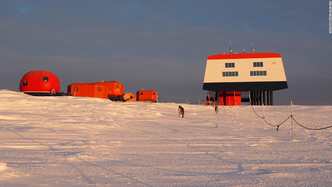 A lone penguin in the process of shedding its feathers can be seen in front of German research base Neumayer Station III, lit by the setting midnight sun.