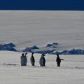 Warmer Summers Threaten The World's Largest Ice Sheet And The ...