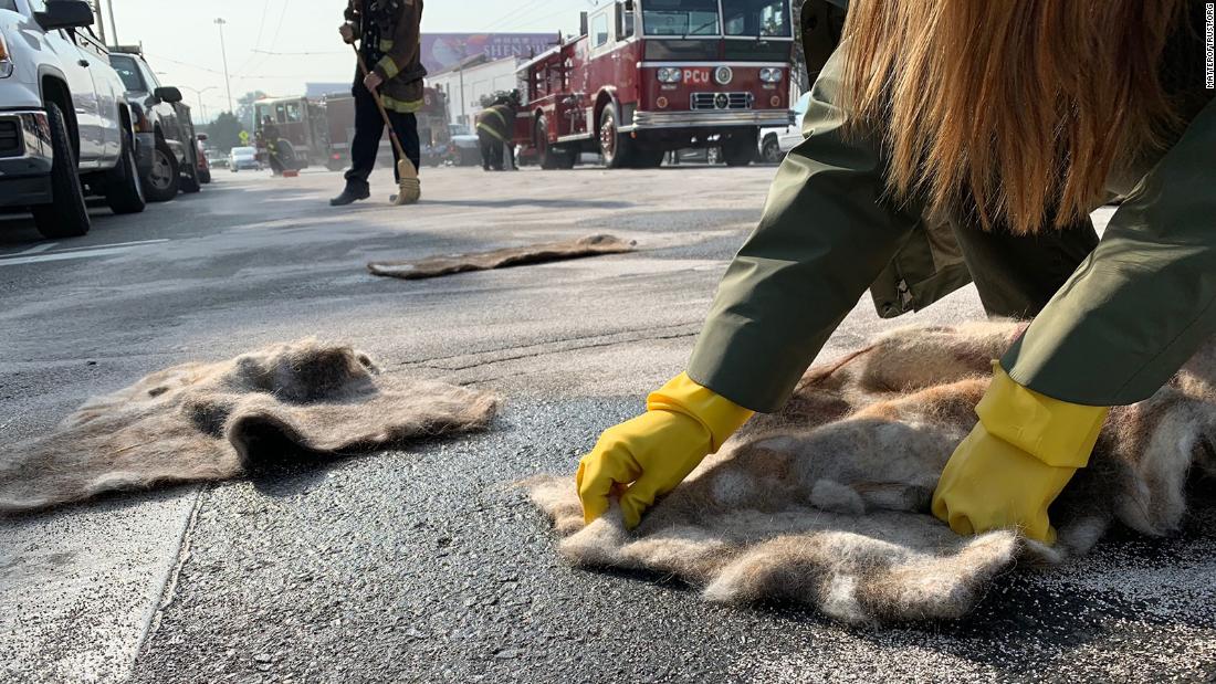 At its workshop in San Francisco, Matter of Trust produces mats made from donated human hair and animal fur, to soak up oil spills. They have been used to clean up minor spills, like this one caused by a road accident, and are also helpful for major spills.