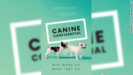 Bekoff&#39;s &quot;Canine Confidential&quot; explores why dogs do what they do.
