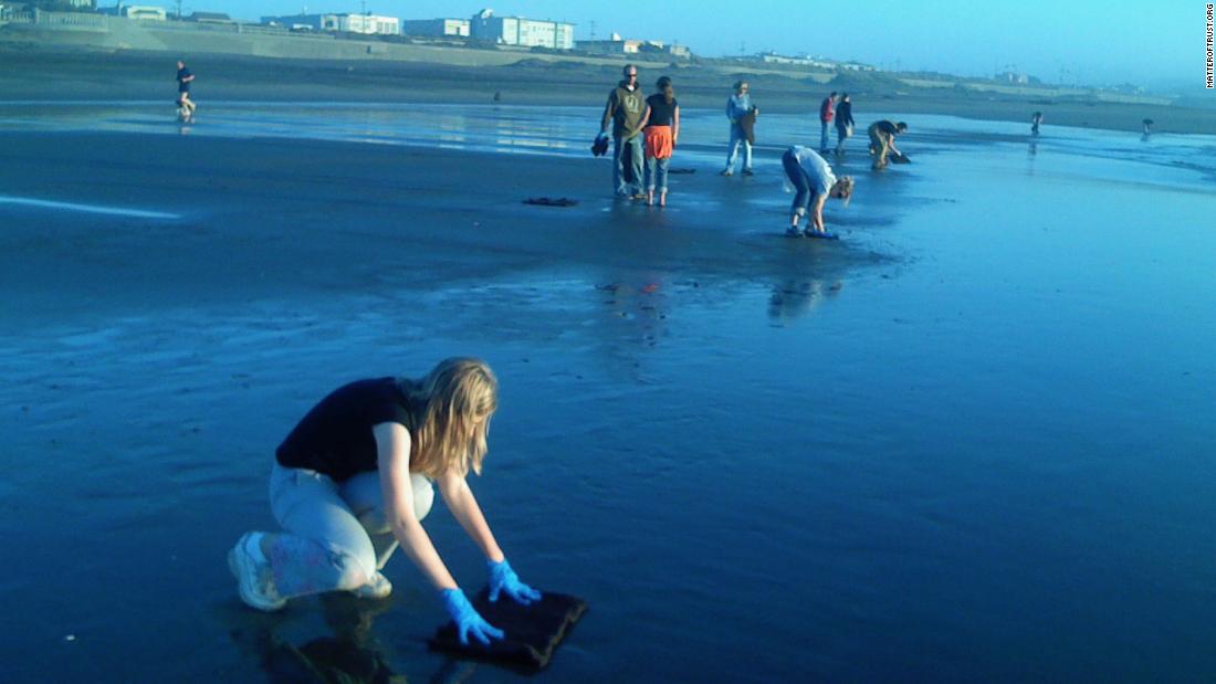 Pictured, Matter of Trust volunteers using hair mats to clean up oil from a San Francisco beach in 2007, after the &lt;a href=&quot;https://response.restoration.noaa.gov/remembering-cosco-busan-overview-2007-oil-spill&quot; target=&quot;_blank&quot;&gt;Cosco Busan container ship spilled more than 50,000 gallons of oil&lt;/a&gt; following its collision with the San Francisco Bay Bridge.
