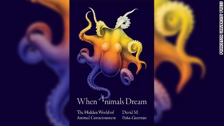Peña-Guzmán has a book coming out called &quot;When Animals Dream: The Hidden World of Animal Consciousness.&quot; 