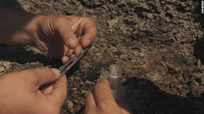 Shown here is the amber with a potential piece of the asteroid inside.
