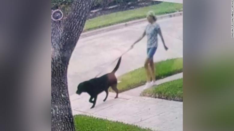 Her dog’s barking led rescuers to a missing Texas woman in ‘small miracle’