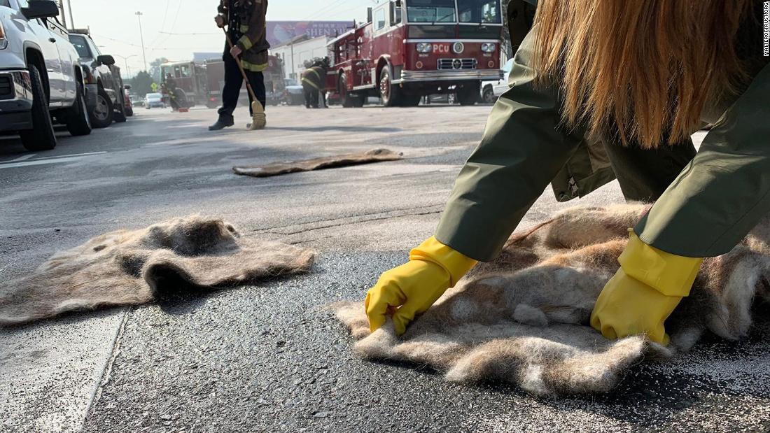 Human hair can soak up 5 times its weight in oil. Here's why that's important