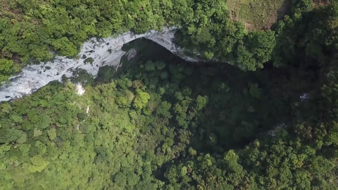 Scientists discover hidden forest inside massive sinkhole in China ...