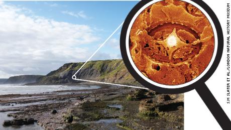 Some of the ghost nannofossils were recovered from Jurassic rocks in Yorkshire in the UK.