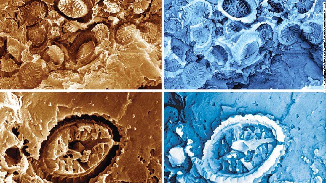 Fosilie „duchů“ odhalují mikroorganismy, které přežily dávné události oteplování oceánů