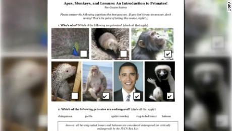 The worksheet, which featured pictures of various animals and asked students to check off the pictures of primates, included a headshot of Obama between pictures of two animals. 
