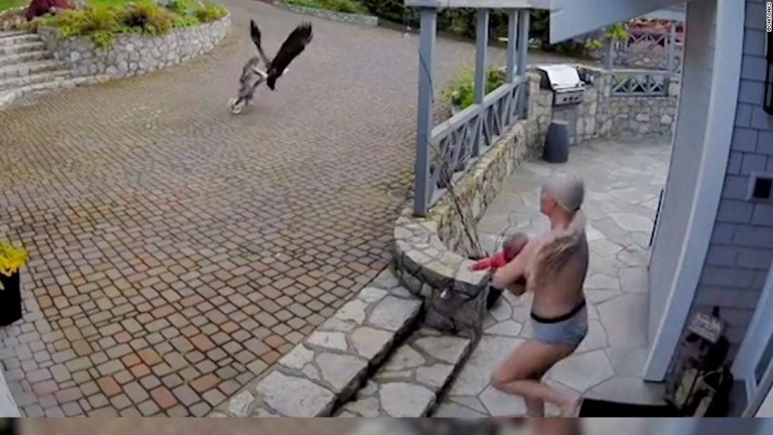 Watch half-naked mom save pet goose from bald eagle