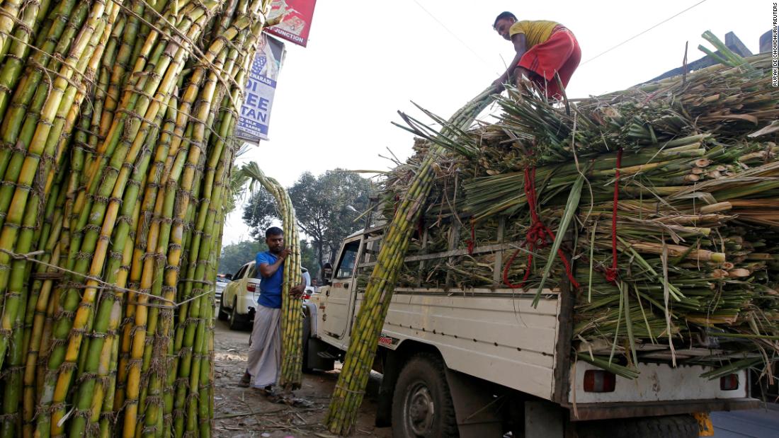 India, the world's largest producer of sugar, is restricting exports