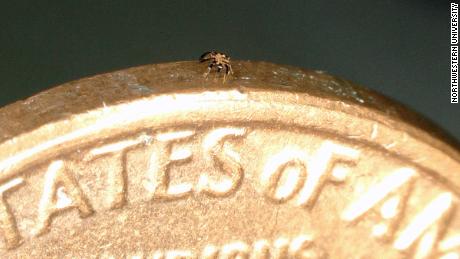 A tiny robotic crab stands on the edge of a US penny.