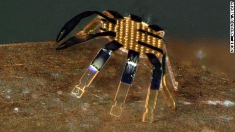 Northwestern engineers invent the world's smallest remote-controlled walking robots 