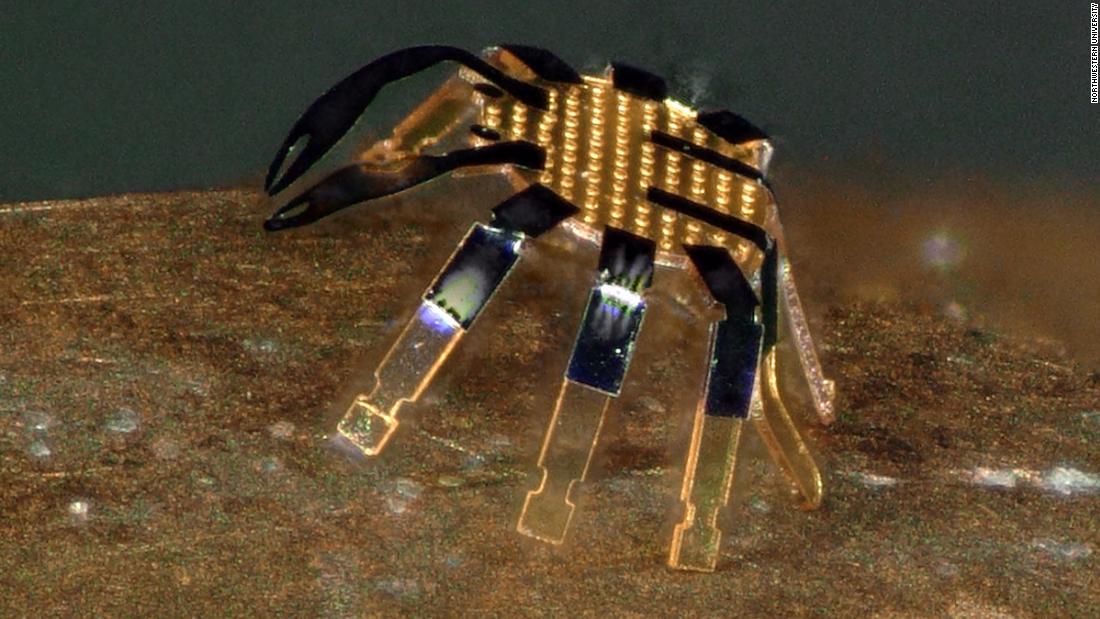 Tiny crab robots are so small they can walk on top of a US penny