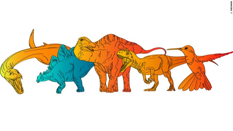 (A partir da esquerda) Esta ilustração mostra Plesiosaurus, Stegosaurus, Diplodocus, Allosaurus e Calypte (beija-flor moderno), com tons vermelhos indicando sangue quente e tons azuis para sangue frio.