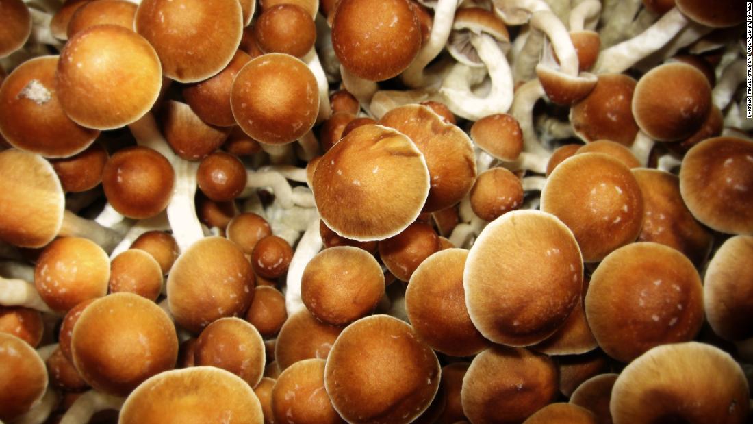 How psilocybin, the psychedelic in mushrooms, may rewire the brain to ease depression, anxiety and more