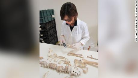 Pompeii: the human genome of a victim sequenced for the first time